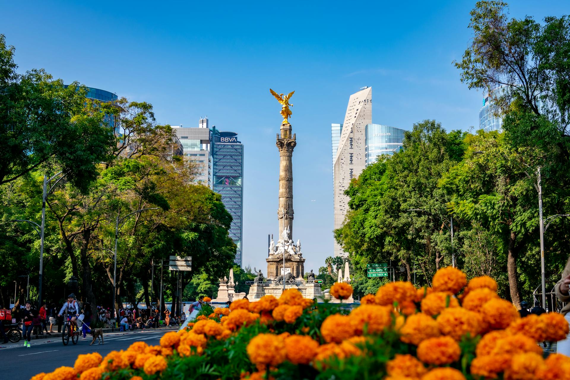 Roma Norte & Condesa, Mexico City